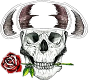 Matador